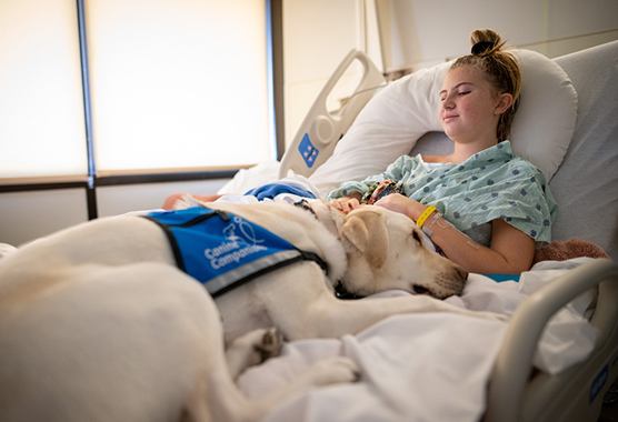 Young girl preparing for surgery with a therapy dog on her hospital bed