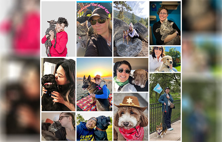 collage of images of people with their dogs