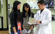 An intern at UC Davis Institute Regenerative Cures
