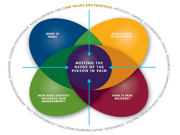 Core values and principles of pain management. (c) UC Davis Regents. All rights reserved.