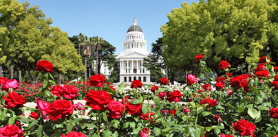 Sacramento Capital