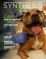 Synthesis magazine, UC Davis Comprehensive Cancer Center