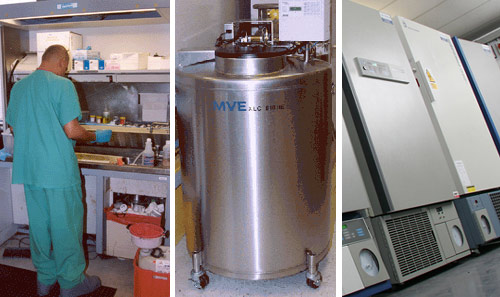 Biorepository equipment © UC Regents