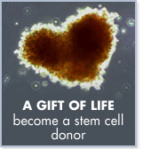 A gift of life - become a stem cell donor