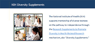 NIH Diversity Supplements
