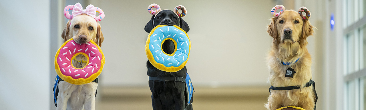 Dogs as the annual Donut Dash