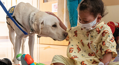Facility dog Daniels with a pediatric patient