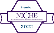 Nurses Improving Care for Healthsystem Elders logo