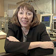 Katherine Ferrara, Ph.D.