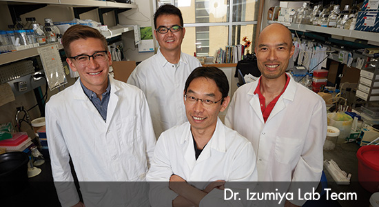 Dr Izumiya Research Lab Team