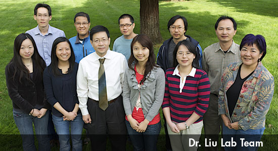 Dr Liu Research Lab Team