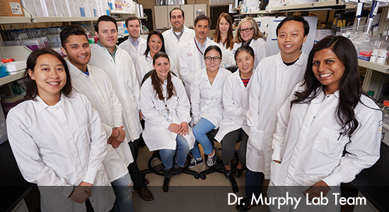 Dr Murphy Research Lab Team