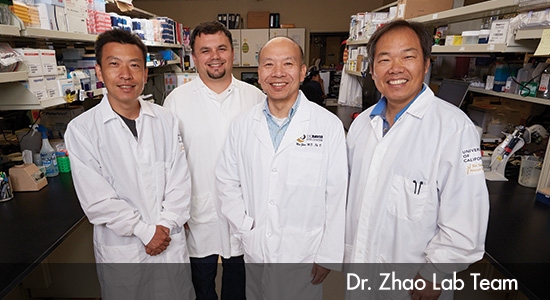 Dr Zhao Research Lab Team