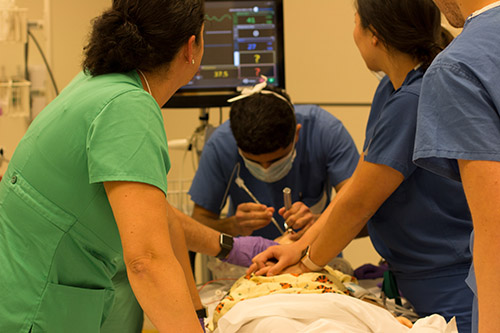 Simulation and Health Professions Education 