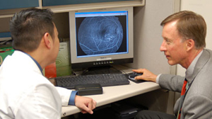 Vitreo-retinal fellowship