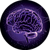 illustration of human brain