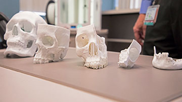 3-D replicas of skulls
