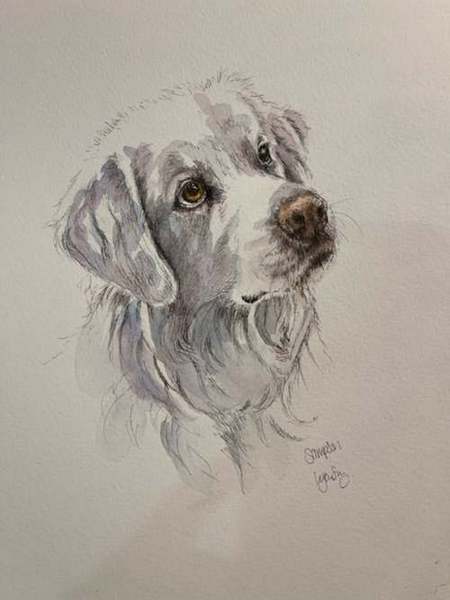 Sampson - Forever Hopeful for That Treat by Lynn Armstrong