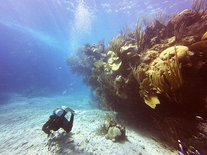 Diving the Bermuda Triangle by Fabrizio Sarceni