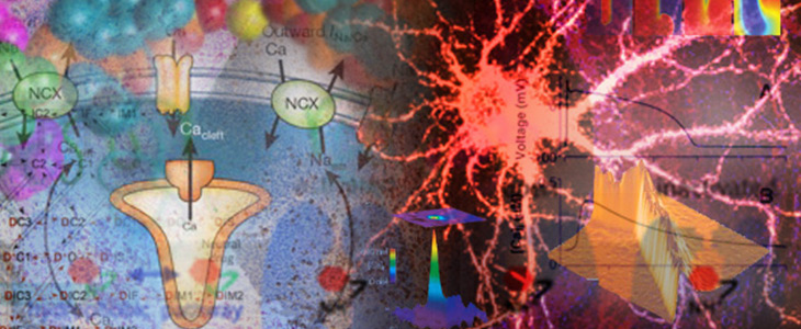 Pharmacology research image