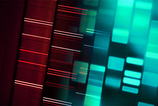 Integrated Cancer Biology