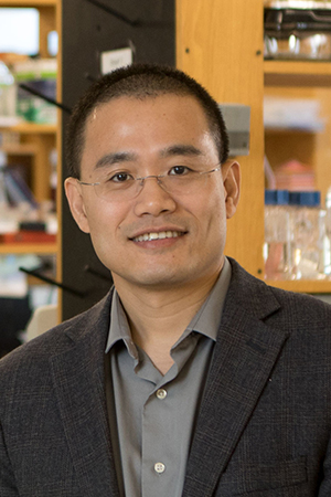 Yibin Kang, Ph.D.