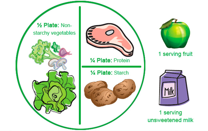 Plate Model graphic with vegetables filling 1/2 plate, protein on 1/4 plate and starch on 1/4 plate