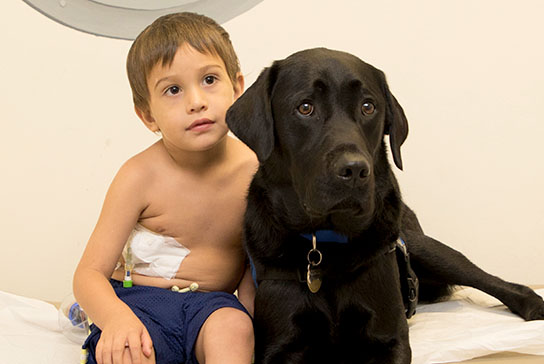 Facility dog with young patient