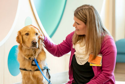 Zeebee, our facility dog for the Children's Surgery Center, with a child life specialist