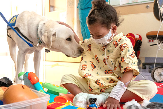 child life facility dog with patient