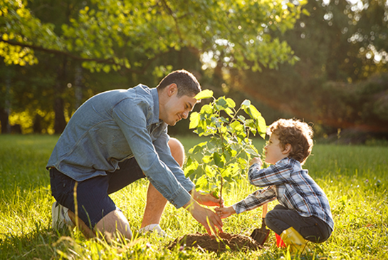 a father and son planting a tree together.
