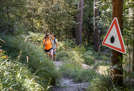 People hiking in the woods and ther is a sign, warning of ticks.