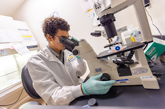 Male researcher looking into a microscope