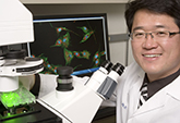 Researcher Aijun Wang will be developing a stem cell approach to improving dialysis for end-stage kidney disease.