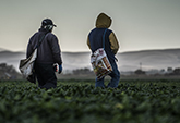 Farm workers are at higher risk for Valley fever