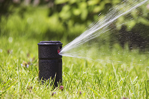 The Grounds crew have made improvements to irrigation controls to save water and are applying water-efficient techniques.