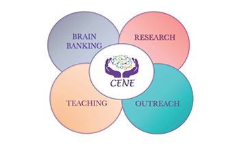 El objetivo de CENE a aumentar la investigación sobre el autismo que usa tejidos cerebrales.