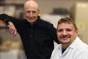 UC Davis Distinguished Professor Bruce Hammock (left) and researcher Christophe Morisseau in the Hammock lab. (Photo by Kathy Keatley Garvey)