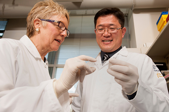 Professors Diana Farmer and Aijun Wang are collaborating to develop a stem cell treatment for spina bifida. (2019)