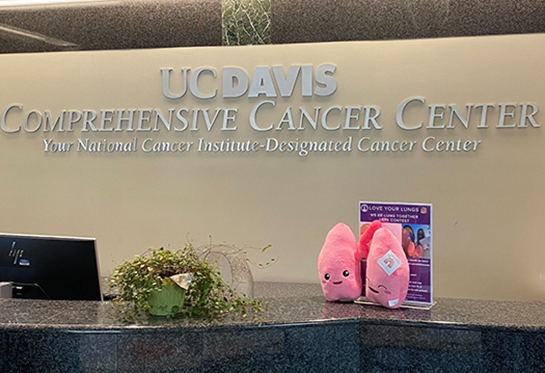 Lung plushie on Comprehensive Cancer Center counter