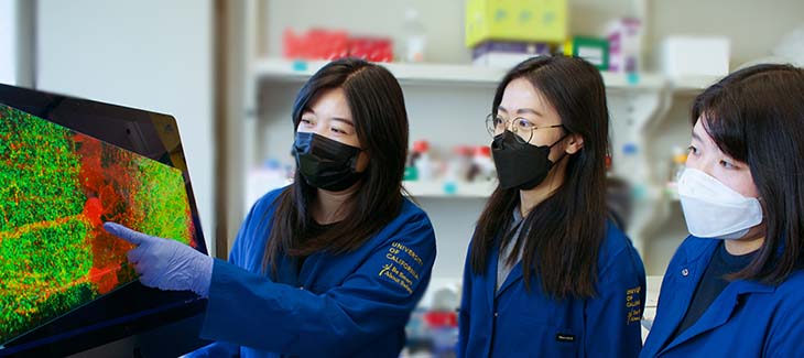 Professor Lin Tian working in her lab with graduate students