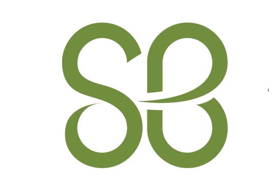 St. Baldricks logo