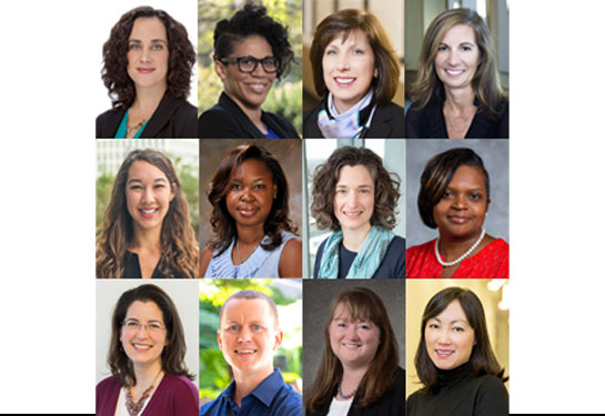 compilation of headshots of all 12 new fellows