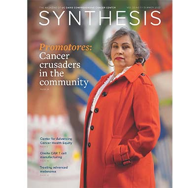 Cover of summer issue of Synthesis magazine