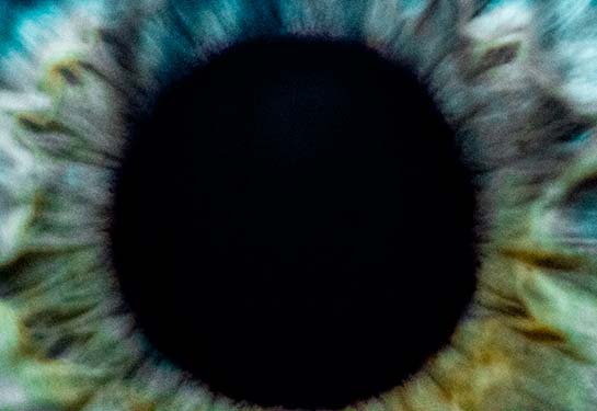 A very closeup view of a human eye.