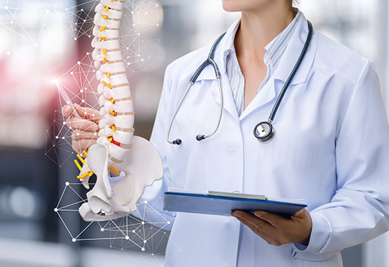 Medical worker shows the spine
