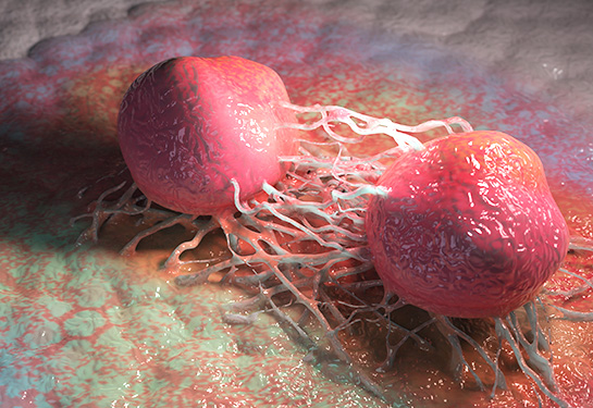 A 3D rendered image of cancer cells at a very high magnification. Reddish-pink cells are connecting via tissue on a pink and gray surface. 