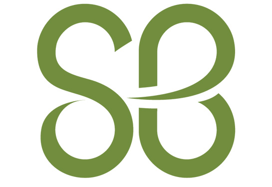 St Baldrick's logo