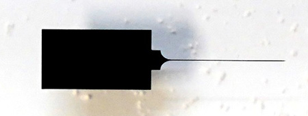 Enlarged photo of a Neuropixels probe, a medical device that is thinner than a human hair