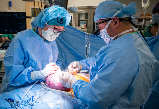 Diana Farmer peforming surgery